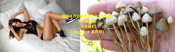 дмт Алзамай